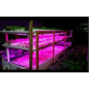 LED GROW svietidlá pre rastliny LED GROW svietidlá pre rastliny
